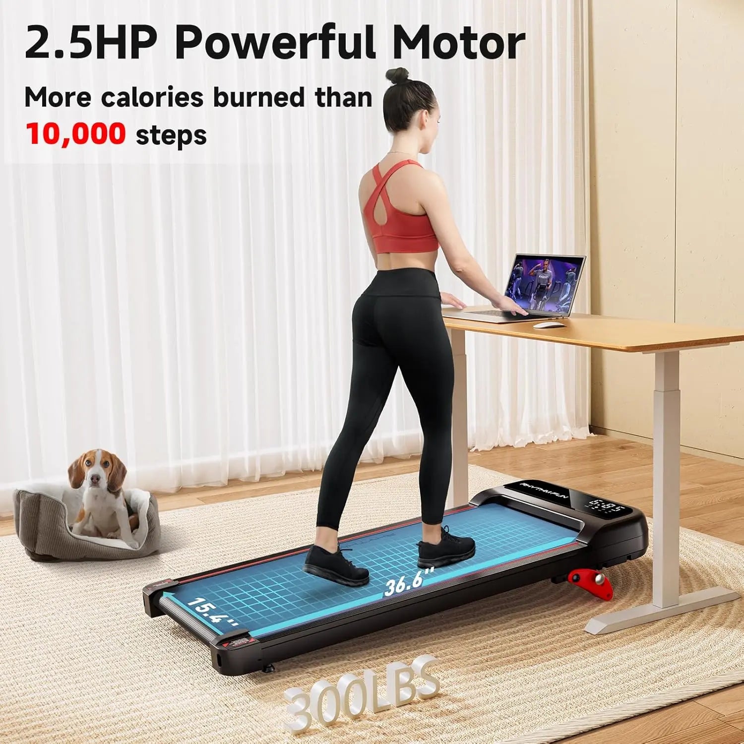 RHYTHM FUN Walking Pad Treadmill with Incline