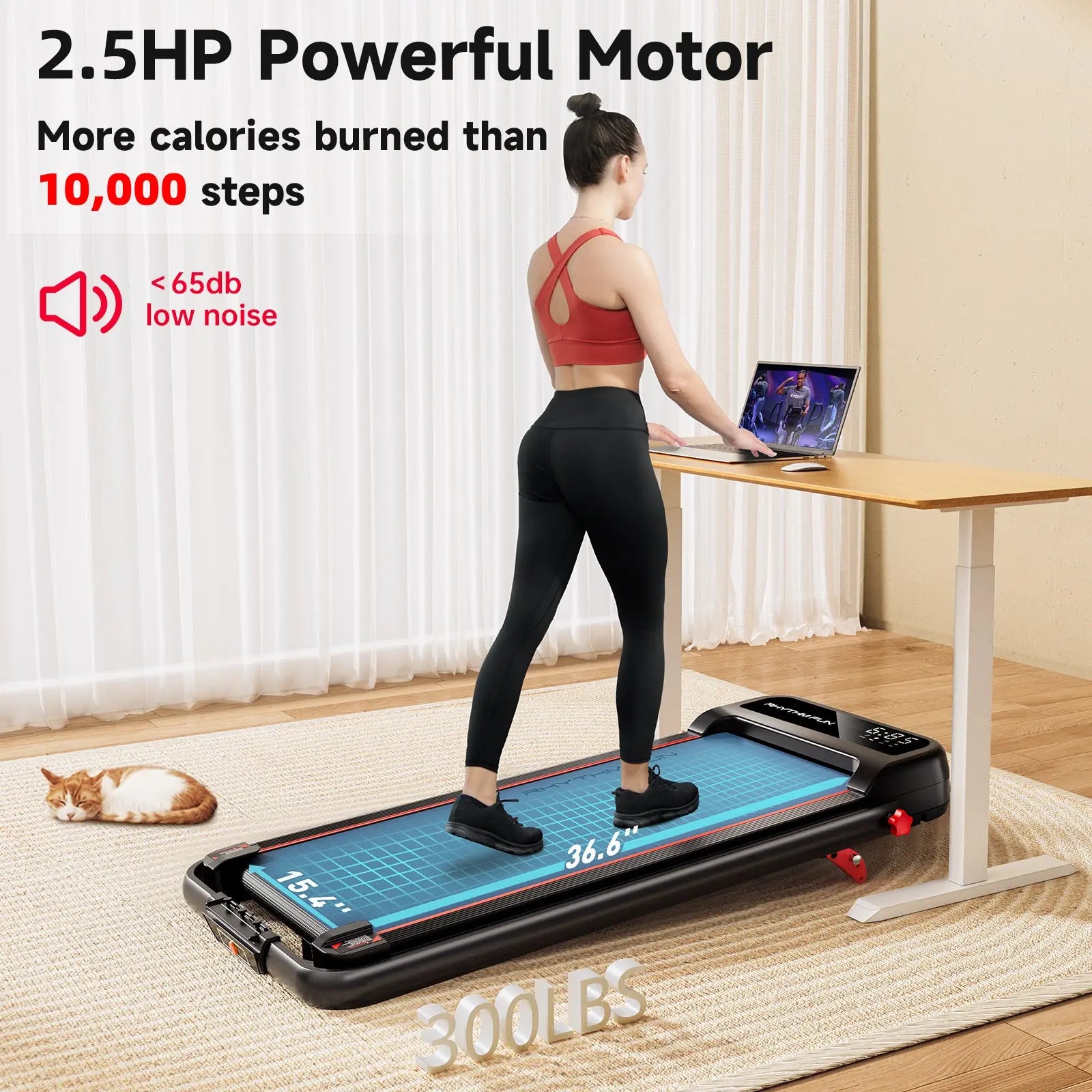 RHYTHM FUN CP01 Foldable Treadmill with Incline RHYTHM FUN