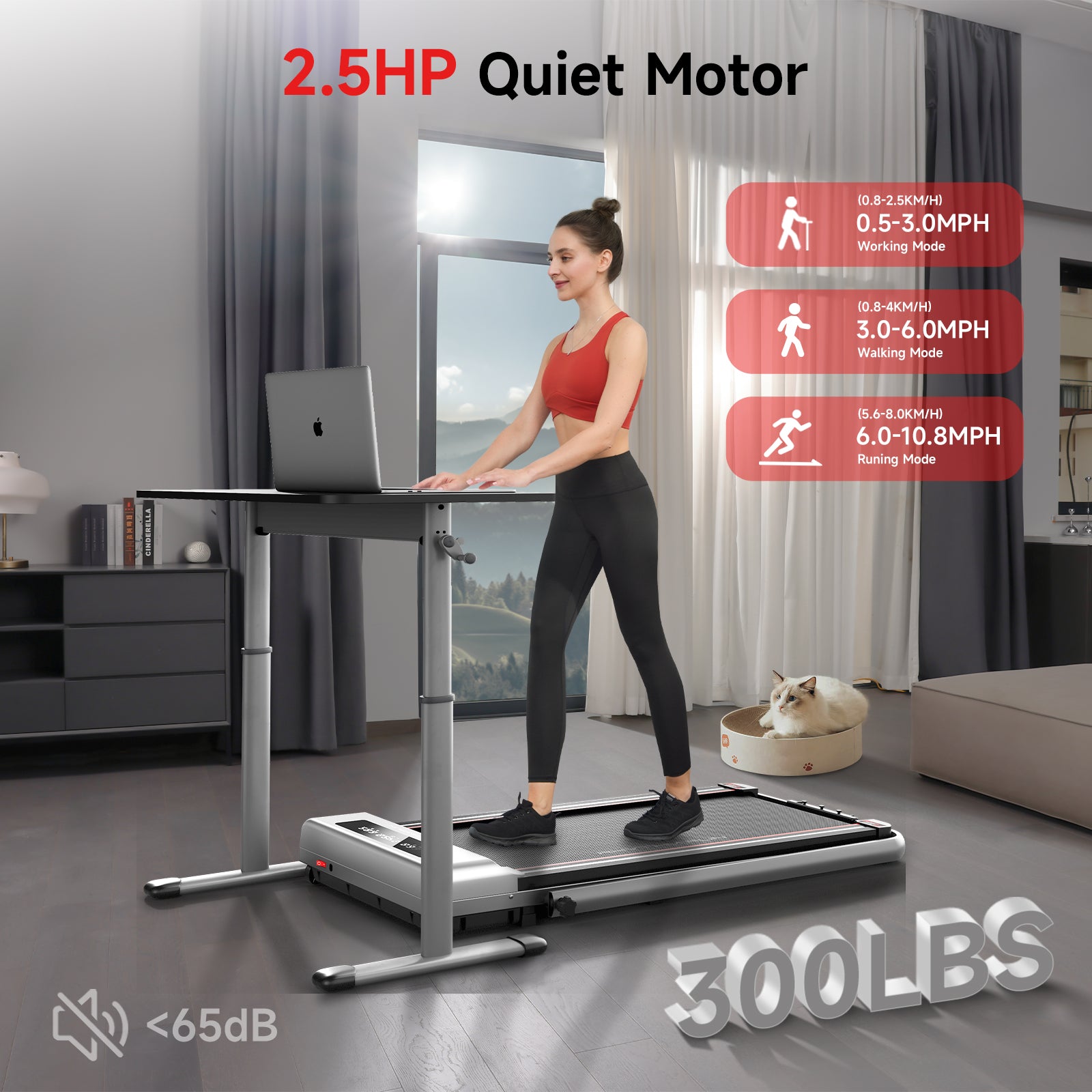 RHYTHM FUN C5 Foldable Treadmill